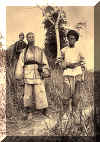 PNoirs_pris_a_TuyenQuan.jpg (109447 octets)